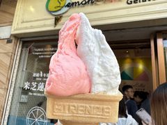 -柠檬车露(卖草地店)