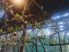-深圳野生动物园