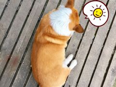 景观位-22cafe