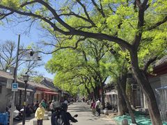 -北京国子监胡同