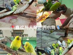 -上海大自然野生昆虫馆(东方明珠·爬宠昆虫探索中心)