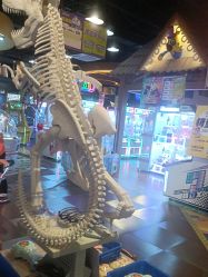 -卡通尼乐园(宝山龙湖天街店)