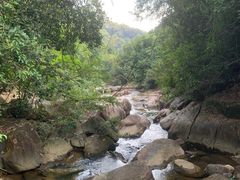 -广州白江湖森林公园