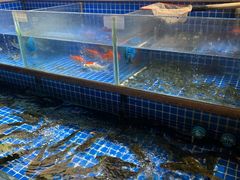 -7017浙菜•建德味(中财店)