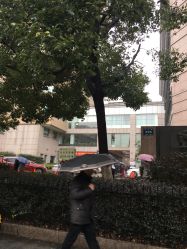 点击看大图 -浙江大学医学院附属妇产科医院(湖滨院区)