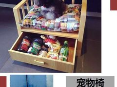-爱宠屋pet shop·宠物洗澡·宠物美容