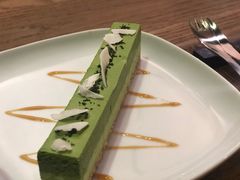 抹茶慕斯-柴务处·柴犬主题狗咖