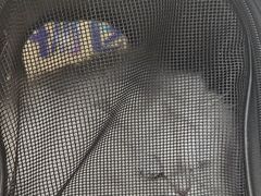 -宠颐生宠物医院·心肾内科·猫专科诊疗中心宠巢店