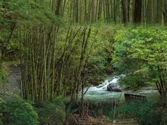 -千泷沟大瀑布旅游区