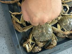 -三旗百汇商品城