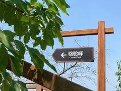 -大岭沟猕猴桃谷风景区
