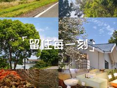 -福建鲤鱼洲酒店