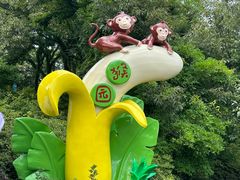 -海上云台山景区