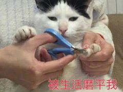 -金鼎轩(安贞里店)