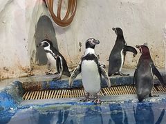 -太平洋海底世界