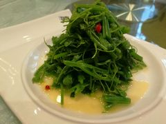 -大唐博相府酒店·陕西官府菜