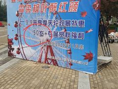 -小媳妇铁锅炖鱼(世博园店)