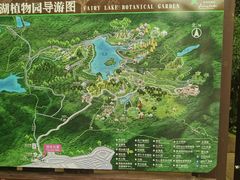 -深圳仙湖植物园