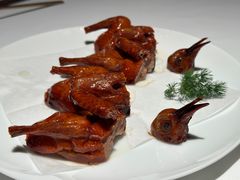 脆皮乳鸽-新荣记(BFC外滩金融中心店)