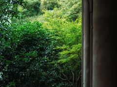 -钱塘江