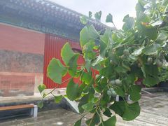 -承恩寺