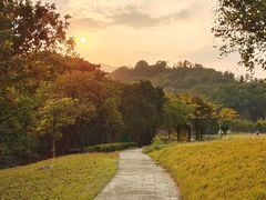 -福建鲤鱼洲酒店