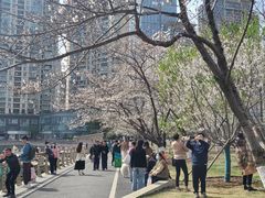 -西北湖绿化广场