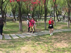 -西北湖绿化广场