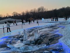 -长春市南湖公园