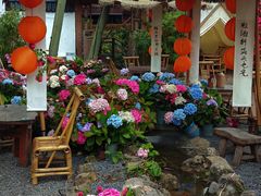-伴山茶苑·围炉煮茶