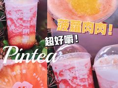 菠萝肉肉-PINTEA LAB(北京路店)