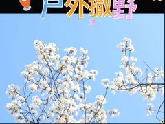 -自然谷恐龙园
