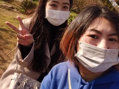 -香雪海