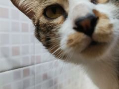 -玉椰林甜品店(创始店)