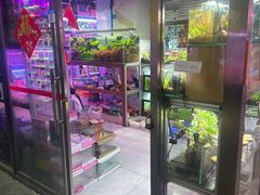 -花鸟鱼虫鲜花绿植市场(玉泉路店)