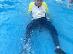 -武汉市青少年宫水上世界