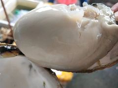 原汁蒸海岛生蚝-龙坛美食店