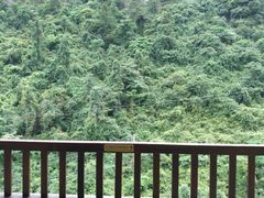 -三清山希尔顿度假酒店