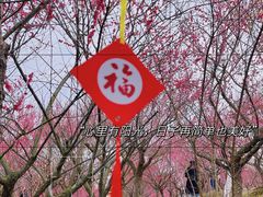 -花开海上生态园
