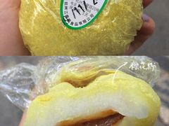 松花晶团-江南春(中山中路店)