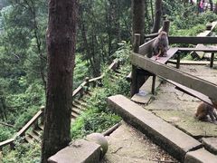 -重庆雨台山风景区