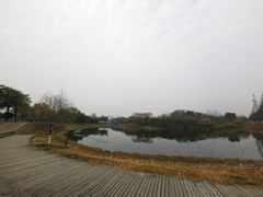 -眉山湿地公园(东坡区)