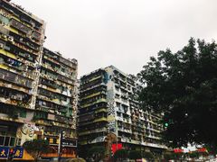 -黄桷坪涂鸦艺术街