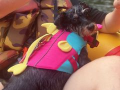 -仙人谷漂流景区