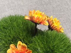 -南堂馆·新川菜(春熙路店)