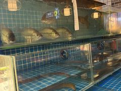 -银珠渔港·海鲜砂锅粥