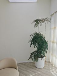 -HEYAN荷妍专业脱毛连锁机构