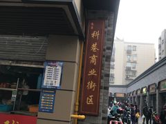-陶记正宗德州扒鸡(科巷店)