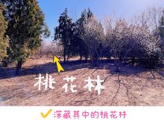 -绿堤公园