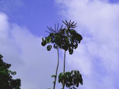 -立新湖公园